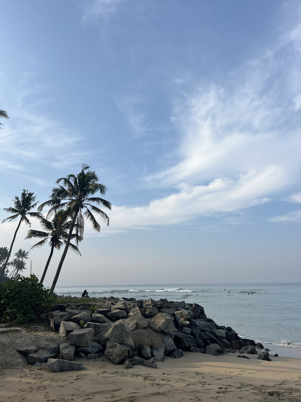 Palm-lined Varkala coast