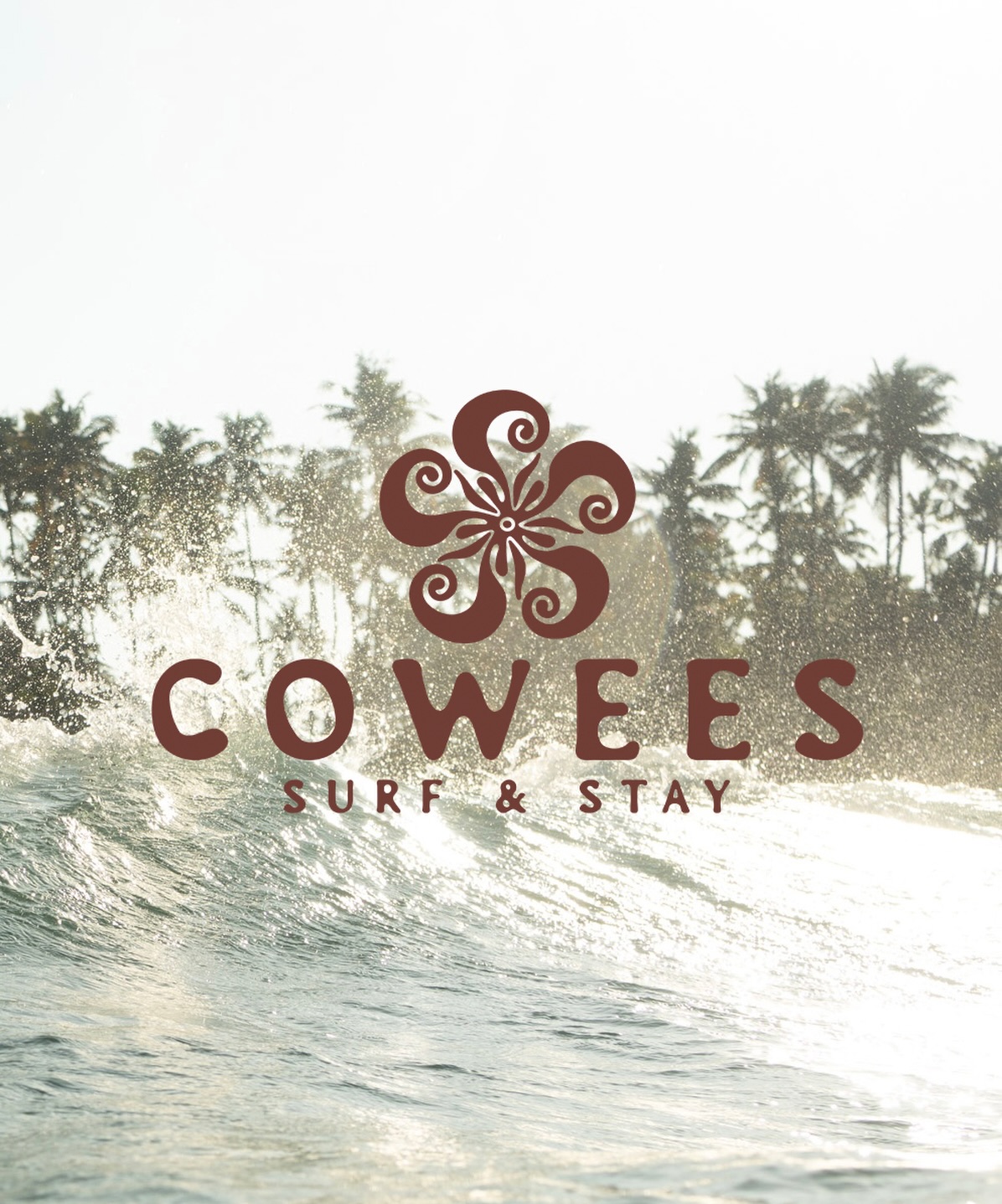 Cowees by the sea